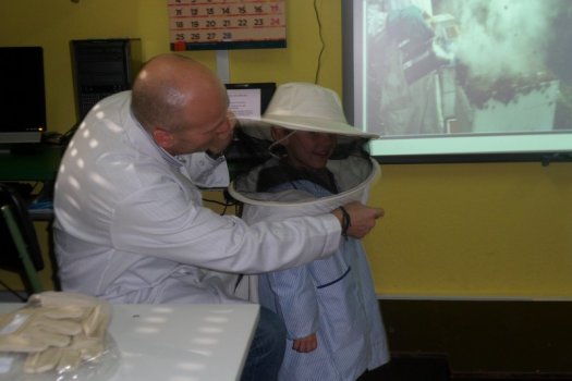 Preme para ver a foto ampliada