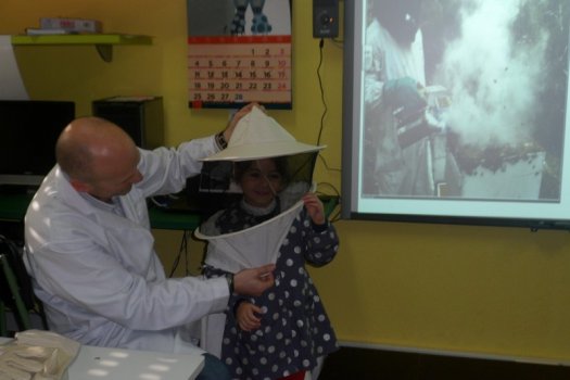 Preme para ver a foto ampliada