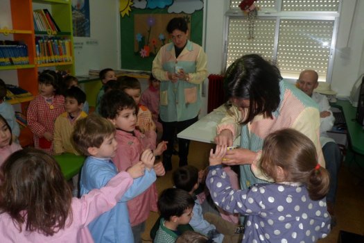 Preme para ver a foto ampliada