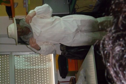 Preme para ver a foto ampliada