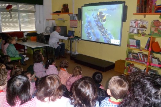 Preme para ver a foto ampliada