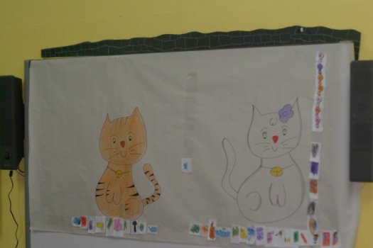 Preme para ver a foto ampliada