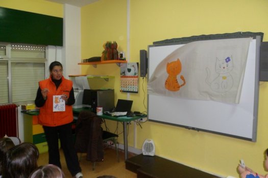 Preme para ver a foto ampliada