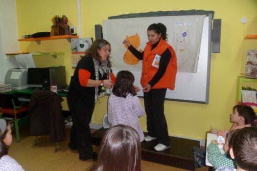 Preme para ver a foto ampliada