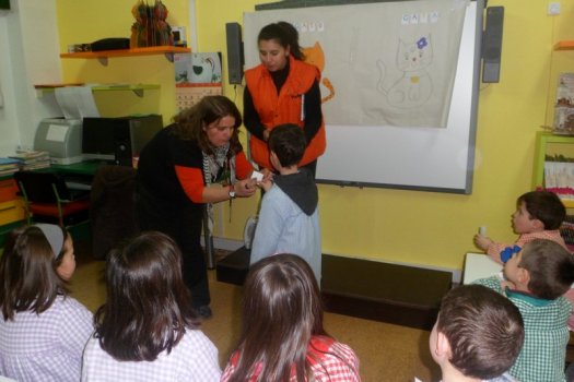 Preme para ver a foto ampliada