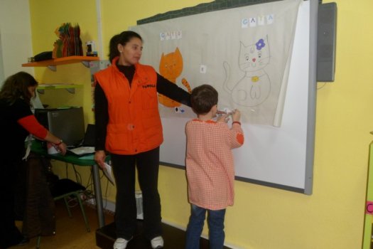 Preme para ver a foto ampliada