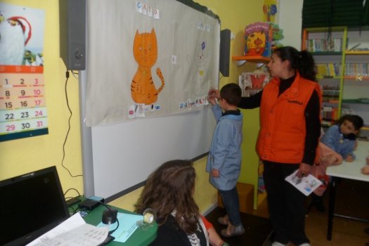 Preme para ver a foto ampliada