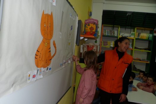 Preme para ver a foto ampliada