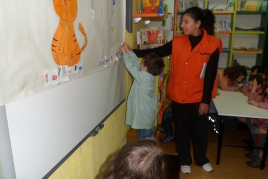 Preme para ver a foto ampliada