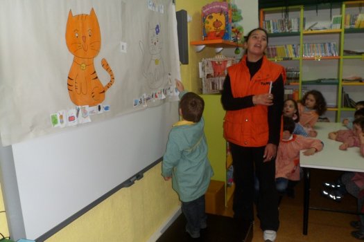 Preme para ver a foto ampliada