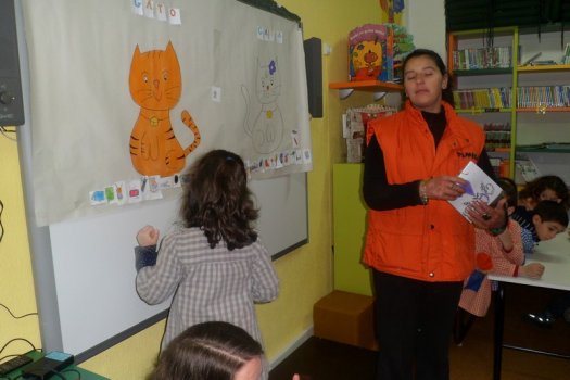 Preme para ver a foto ampliada