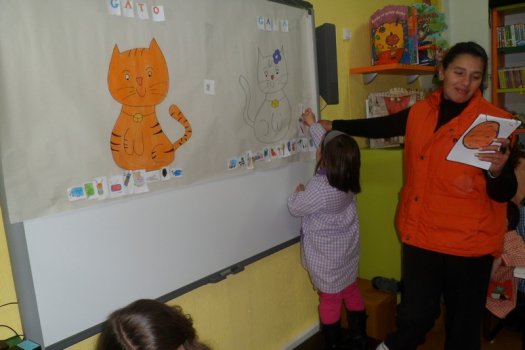 Preme para ver a foto ampliada