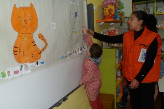 Preme para ver a foto ampliada