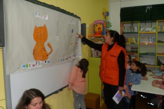 Preme para ver a foto ampliada