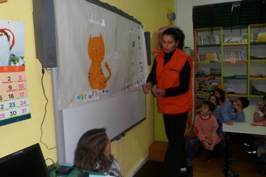 Preme para ver a foto ampliada