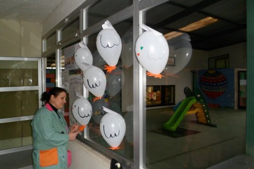 Preme para ver a foto ampliada