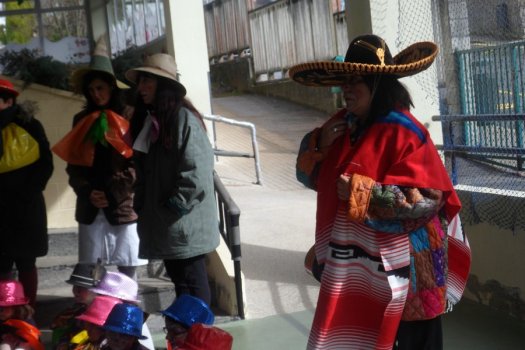 Preme para ver a foto ampliada