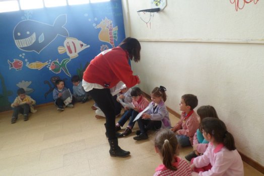 Preme para ver a foto ampliada