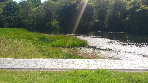 Preme para ver a foto ampliada