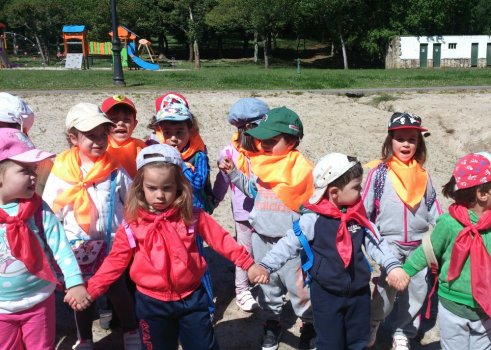 Preme para ver a foto ampliada