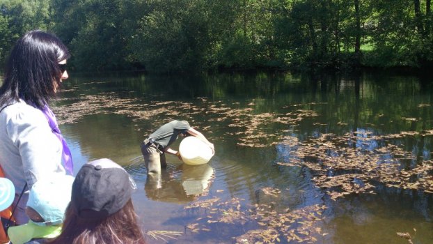 Preme para ver a foto ampliada