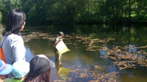 Preme para ver a foto ampliada