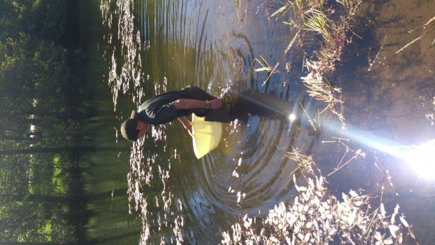 Preme para ver a foto ampliada