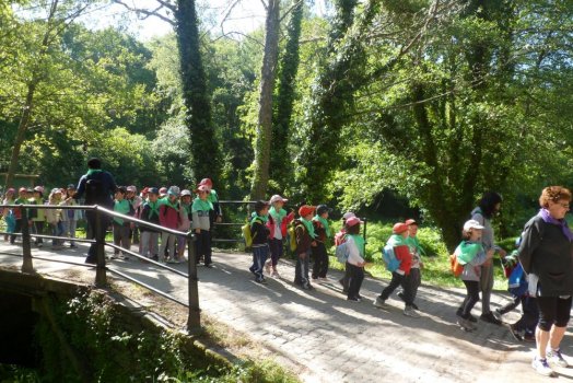 Preme para ver a foto ampliada