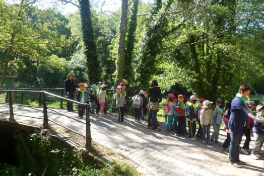 Preme para ver a foto ampliada