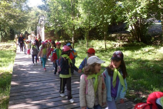 Preme para ver a foto ampliada