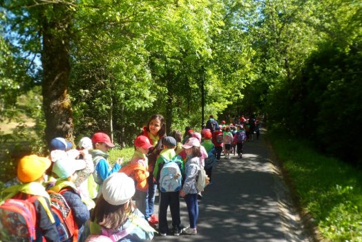 Preme para ver a foto ampliada