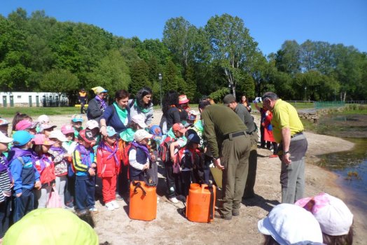 Preme para ver a foto ampliada