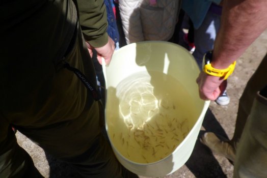 Preme para ver a foto ampliada