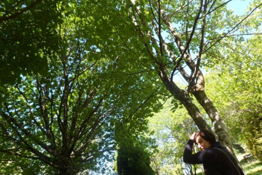 Preme para ver a foto ampliada