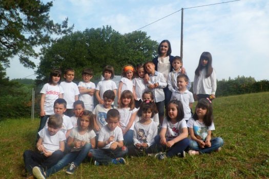 Preme para ver a foto ampliada