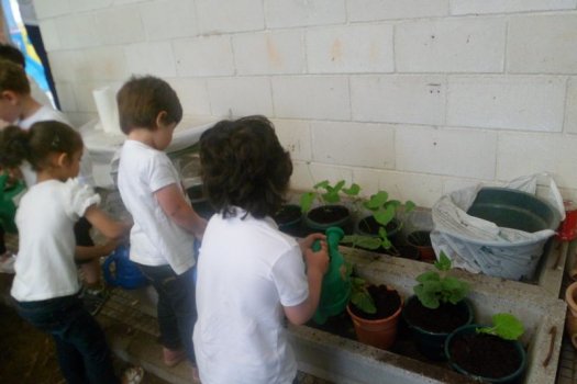 Preme para ver a foto ampliada