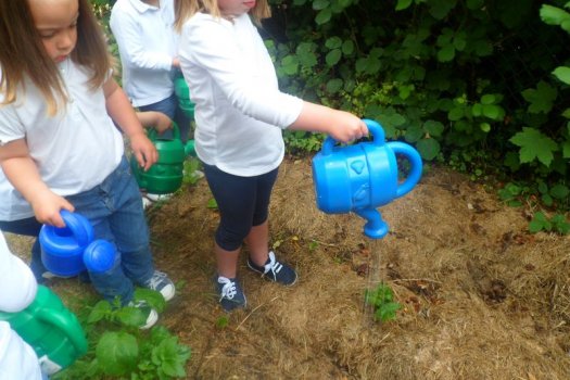 Preme para ver a foto ampliada