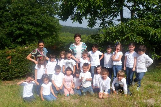 Preme para ver a foto ampliada