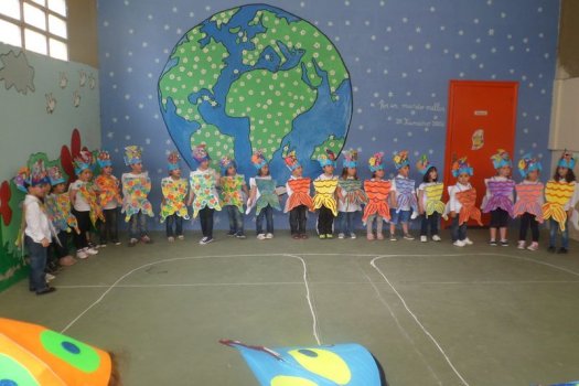 Preme para ver a foto ampliada