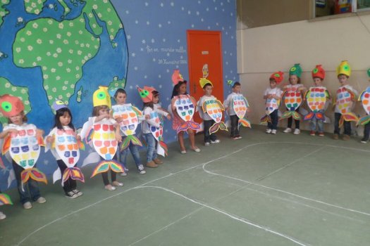 Preme para ver a foto ampliada