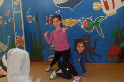 Preme para ver a foto ampliada