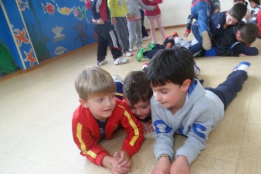 Preme para ver a foto ampliada