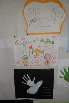 Preme para ver a foto ampliada