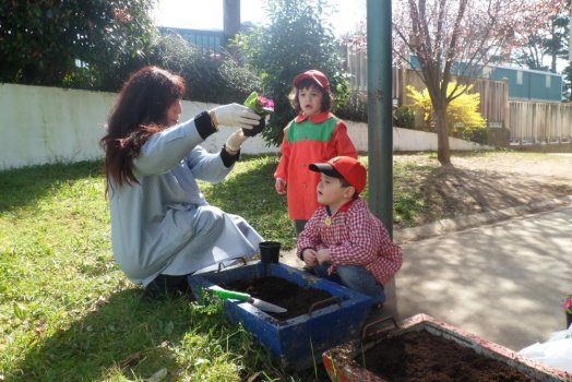 Preme para ver a foto ampliada