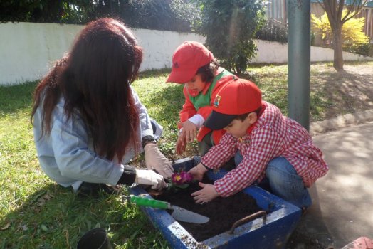 Preme para ver a foto ampliada