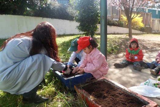 Preme para ver a foto ampliada