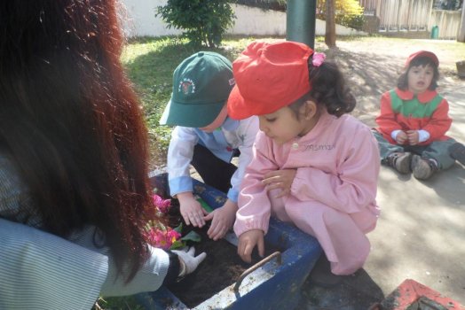 Preme para ver a foto ampliada