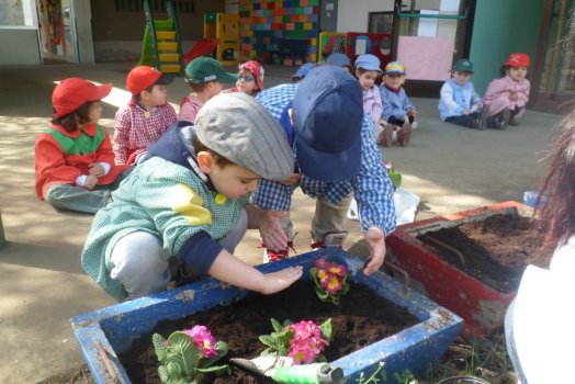 Preme para ver a foto ampliada