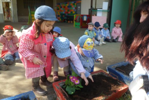 Preme para ver a foto ampliada