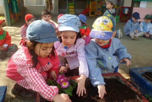 Preme para ver a foto ampliada